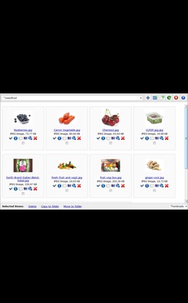 WebFileManager